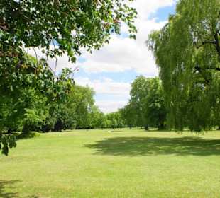 Regent´s Park Impressionen