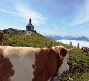 Wandern Tegernsee