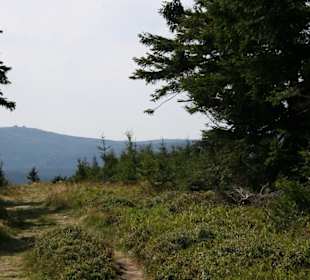 Auf dem Heufudergipfel Blick nach Süden
