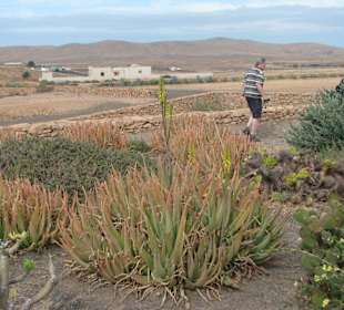Ein Haus des Museumsdorfes