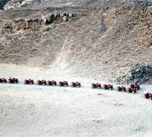 Quad-Tour / Hurghada