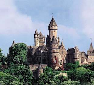 Älteres Bild im Grünen