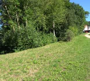 Turn- und Festhalle Öschingen