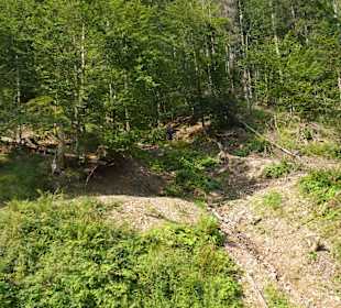 Parcul Natural Apuseni