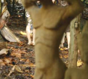 Impressionen in der Plantage