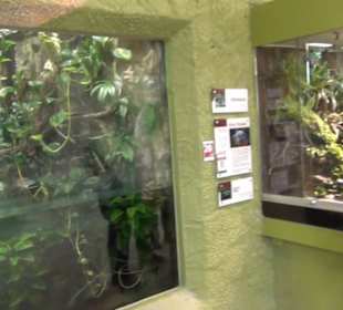 Südamerika Bereich - Südamerikahaus