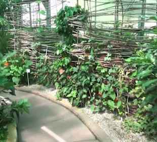 Afrikanische Landschaften