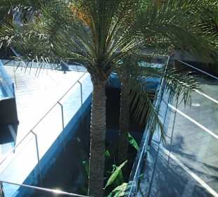 Shoppingcenter Las Palmeras