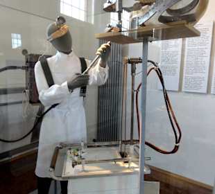 Tierarzt behandelt Pferdegebiss