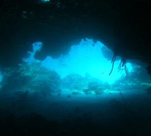 Tauchen am Coral Gardens Point