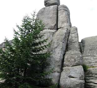W Karkonoszach