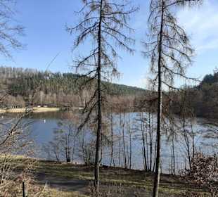 Gelterswoog in Kaiserslautern