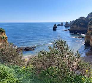Ponta da Piedade