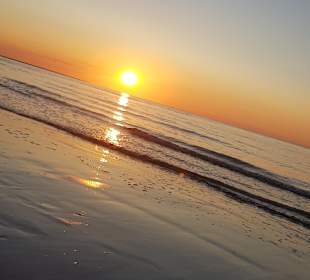 Strand Renesse