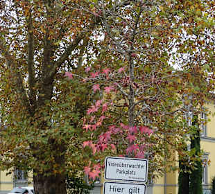 Villa Seehalde