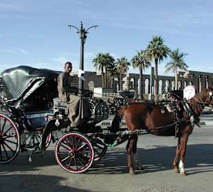 Mustafa vor dem Luxor Tempel