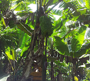 Ausflug mit Mario von Edelweiss Tours