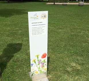 Blühendes Neresheim 2021