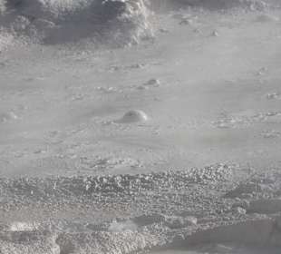 Heiße Quellen im YNP