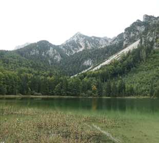 Beim Frillensee am Bergwald-Erlebnispfad