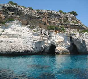 Mit dem Glasboden-Boot "Amigo" unterwegs