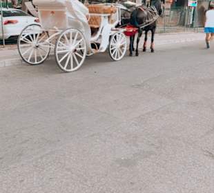 Stadtrundgang Sonnenstrand