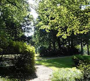 Herbstspaziergang durch Knoops Park