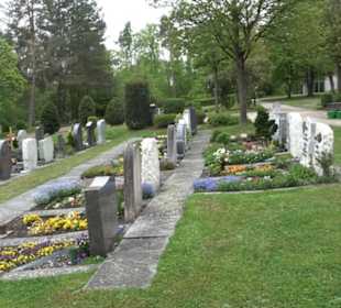 Friedhof