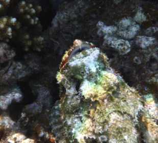 Aus einer anderen Perspektive