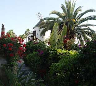 Restaurant Molino Blanco