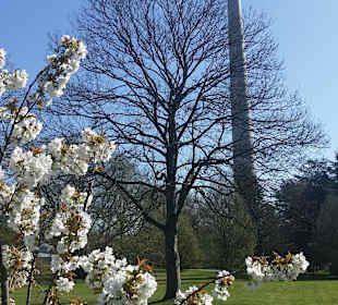 Frühling im Westfalenpark Dortmund
