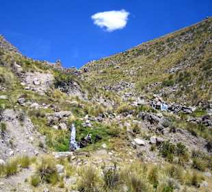 Vegetation auf 4.500 m Höhe