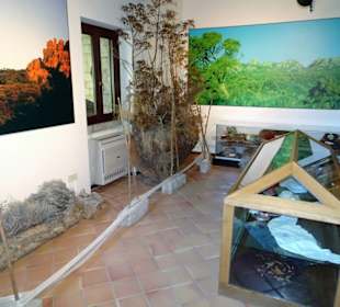 In den Räumen des Museo Etnografico