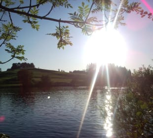 Schwaltenweiher
