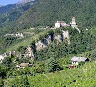Blick auf Schloß Tirol