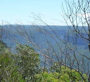 Aussicht Pulpits Lookout