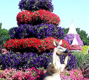 Miracle Garden