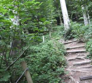 Natur-Hochseilgarten Triberg