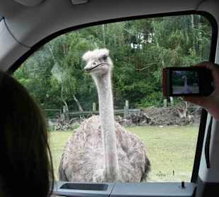 Serengeti Park Hodenhagen