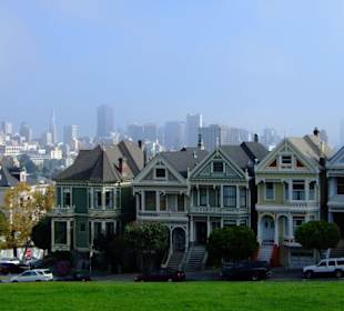 Painted Ladies