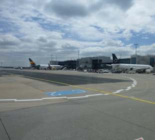 Flughafentour Frankfurt Airport! Super!