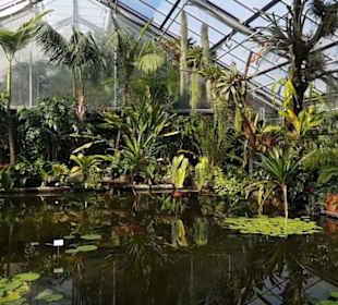 Botanischer Garten