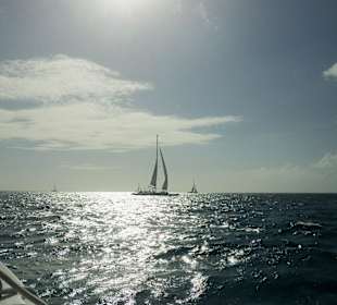 Rückfahrt von Saona