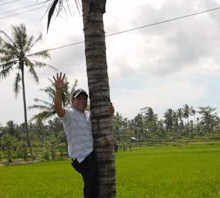 Und wie man an eine Kokosnuss kommt