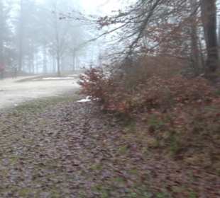 Wasser & Klang Pfad in Auernheim