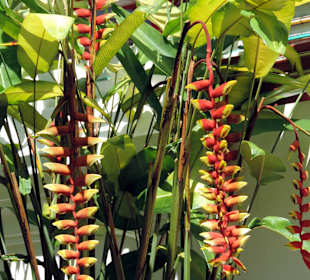 Świątynia Kek Lok Si