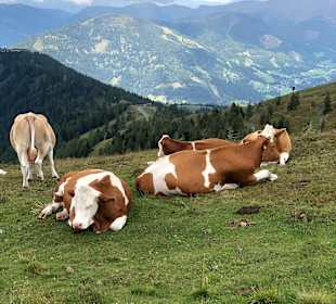 Wandern Bad Kleinkirchheim