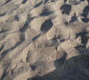 Strand an der Kugelbake