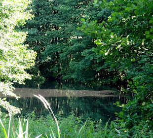 Impressionen aus dem Oslebshauser Park