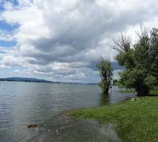 Am Ufer